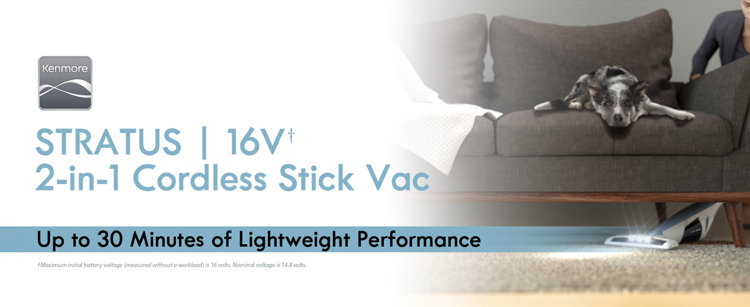 Cordless stick vac with dog on couch and person in background