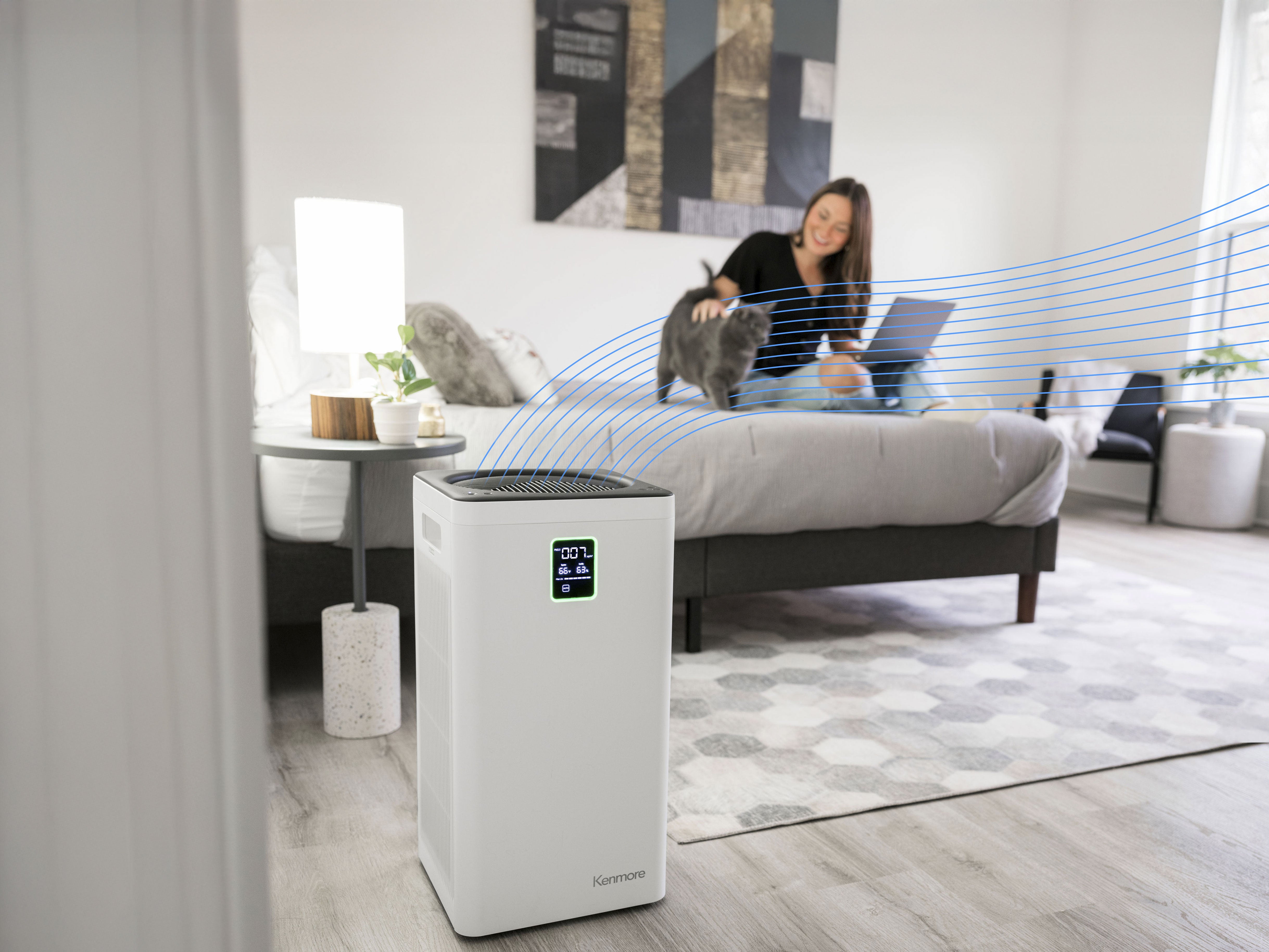 Woman using a laptop with a cat on her lap in a modern bedroom, featuring an air purifier.