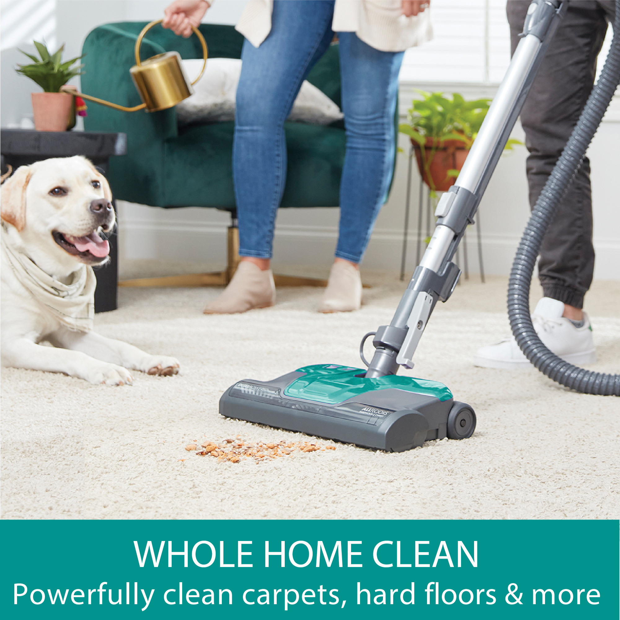 Person using a vacuum cleaner on a carpet with a dog sitting nearby, text 'Whole Home Clean' displayed.