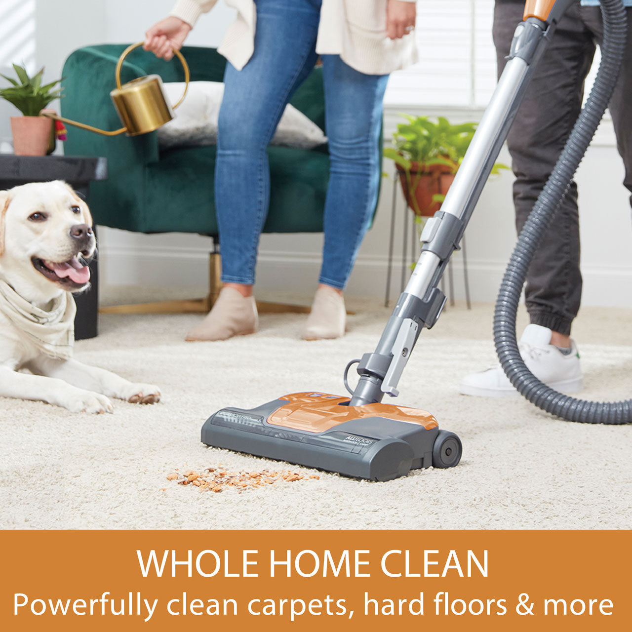 Person using a canister vacuum cleaner on a carpet with a dog sitting nearby, text 'Whole Home Clean' displayed.