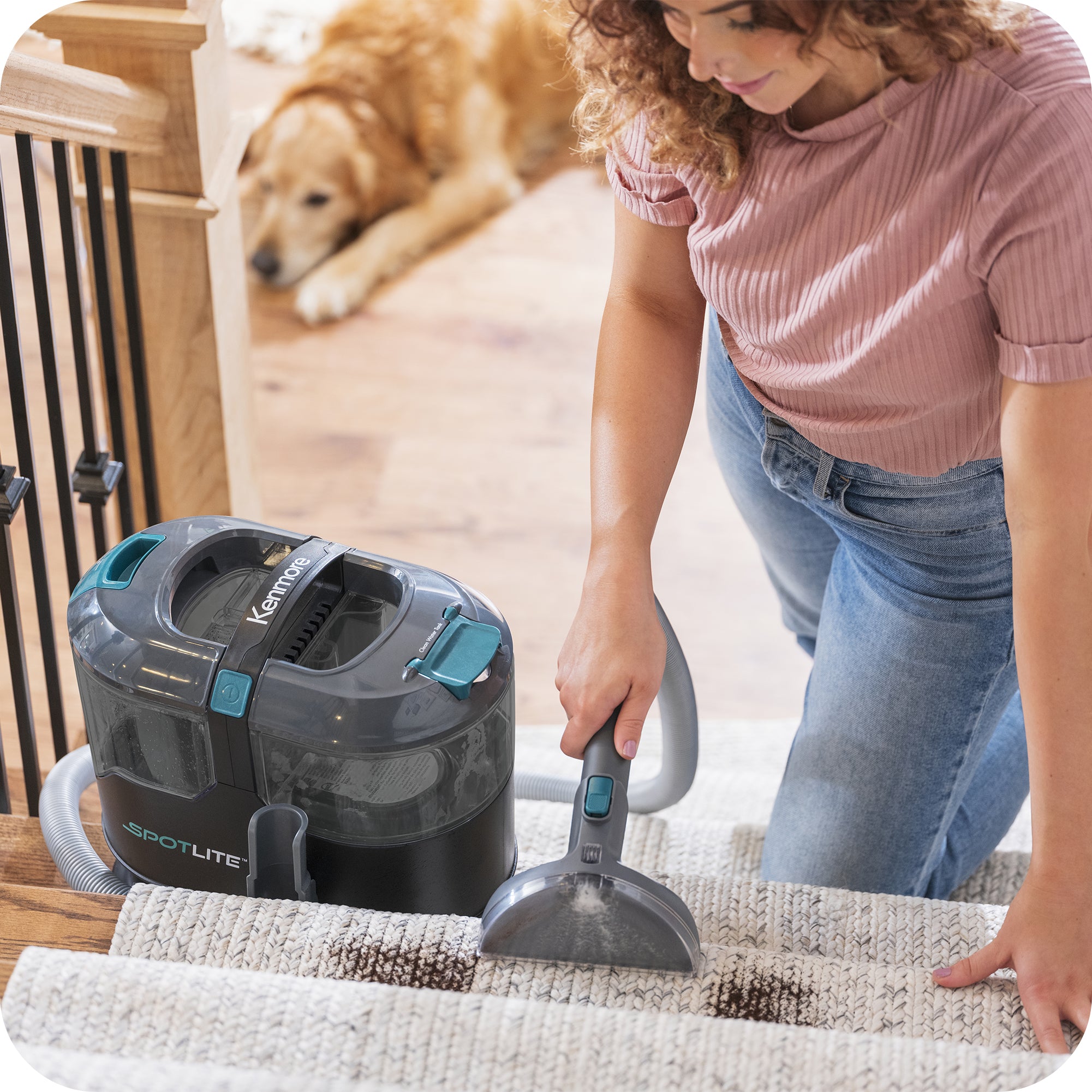 Woman using a Kenmore SpotLite on carpeted stairs with a dog in the background.