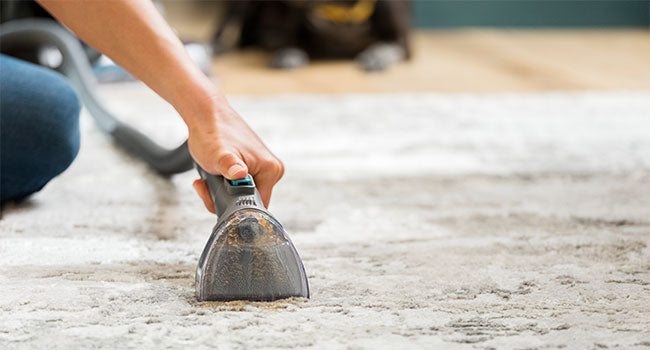 Person cleaning a rug with a handheld tool.
