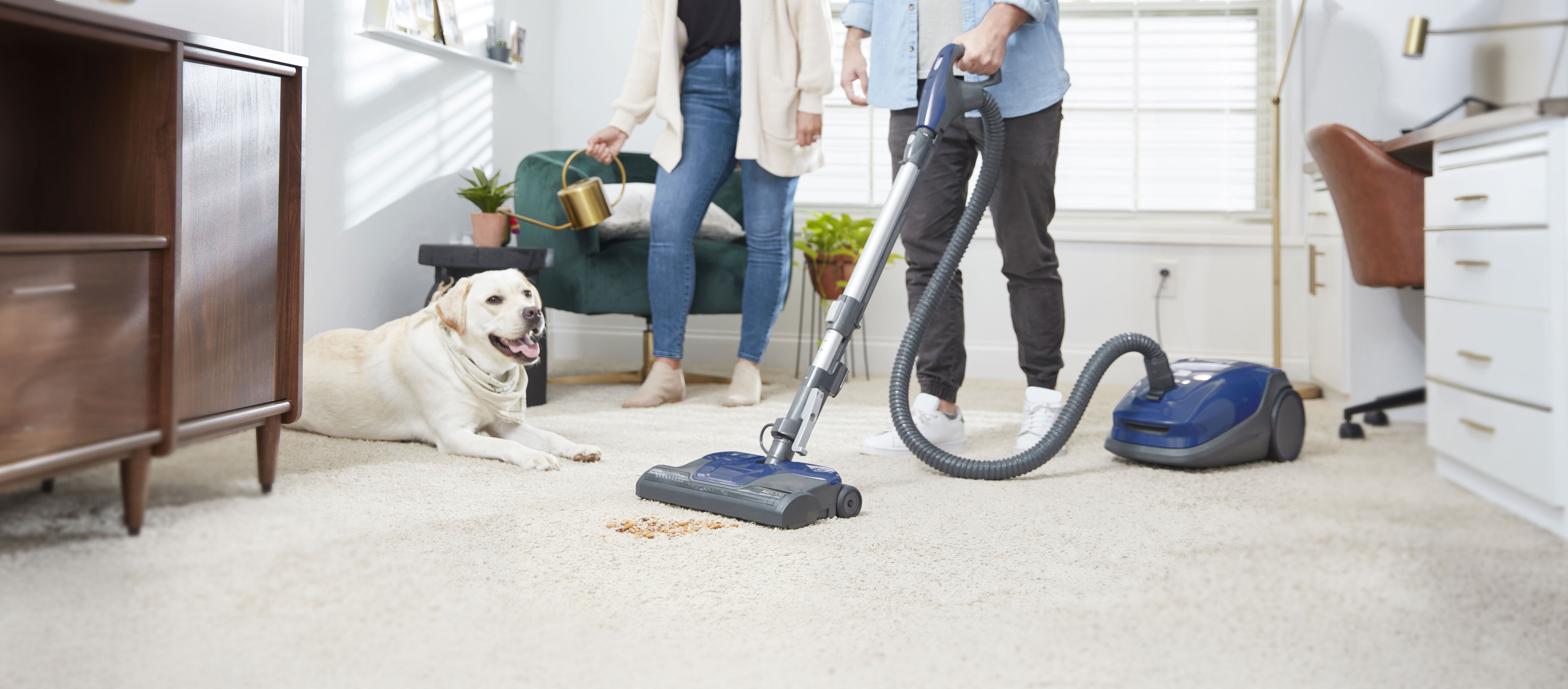 Person using a canister vacuum cleaner on a carpeted floor with a dog watching.