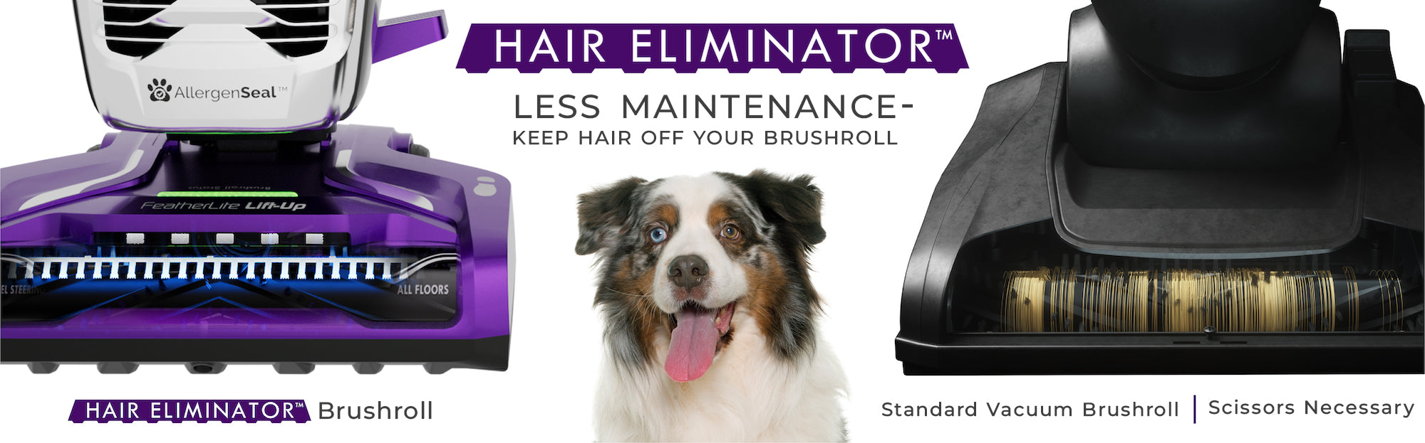 Dog with a hair eliminator brushroll and standard brushroll, highlighting less maintenance feature.