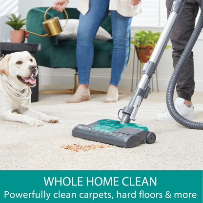 Person using a vacuum cleaner on a carpet with a dog sitting nearby, text 'Whole Home Clean' displayed.
