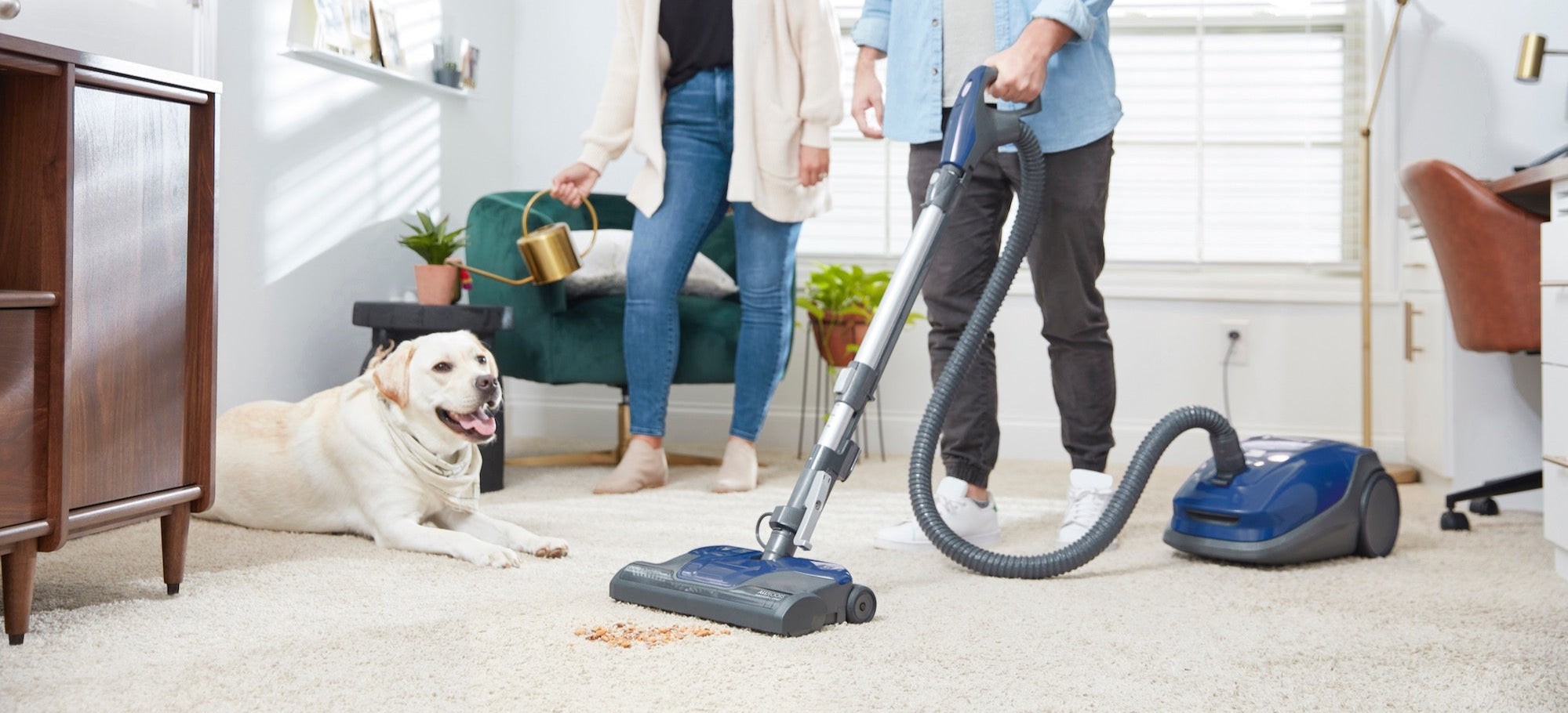 Person using a vacuum cleaner in a living room with a dog on the floor.